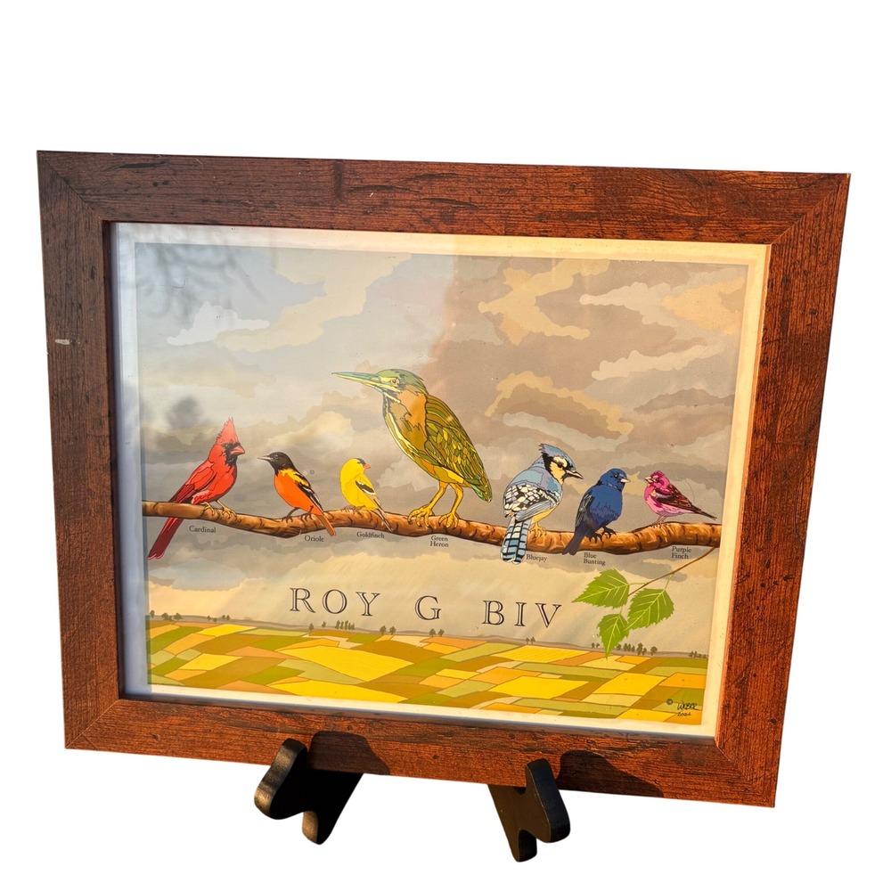 Framed Michael Weber "ROY G BIV" Bird Art Print - Trout Mountain Works - 12x10